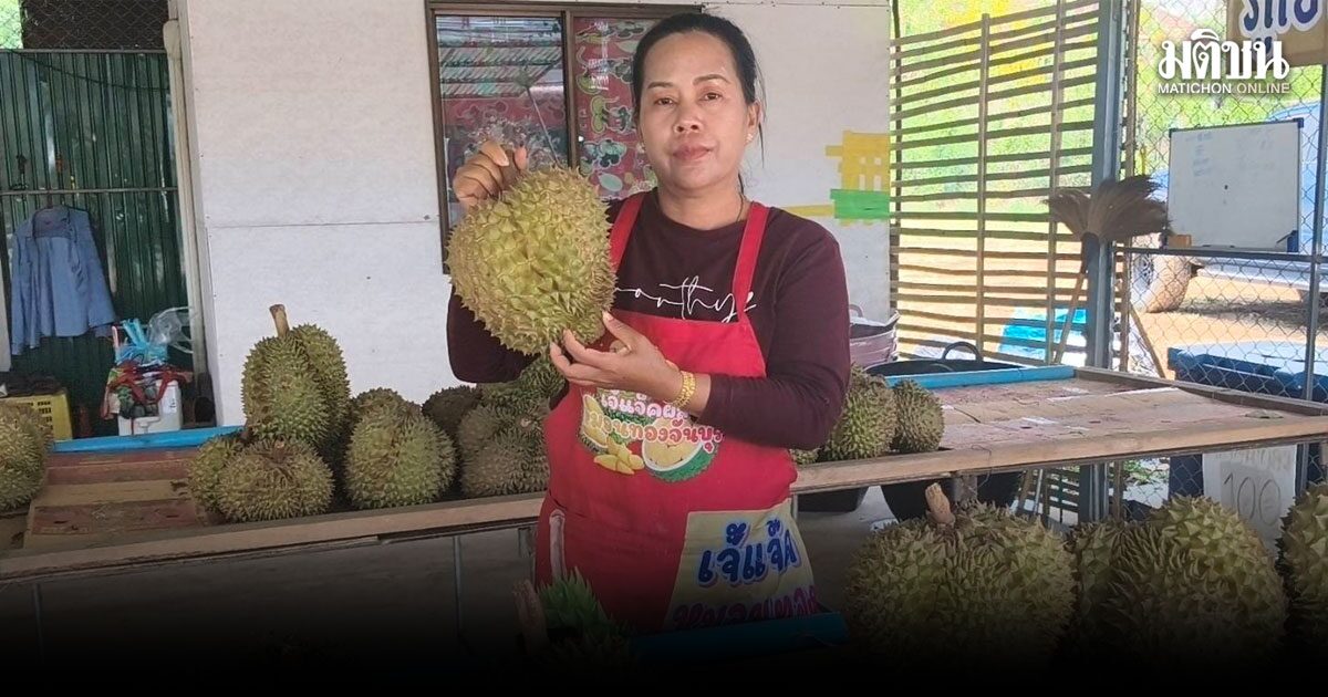 ฮือฮา! แม่ค้าทุเรียนใจป้ำ จัดโปรพิเศษ ซื้อทุเรียนลุ้นทอง 1 สลึงเกี่ยวกับทอง