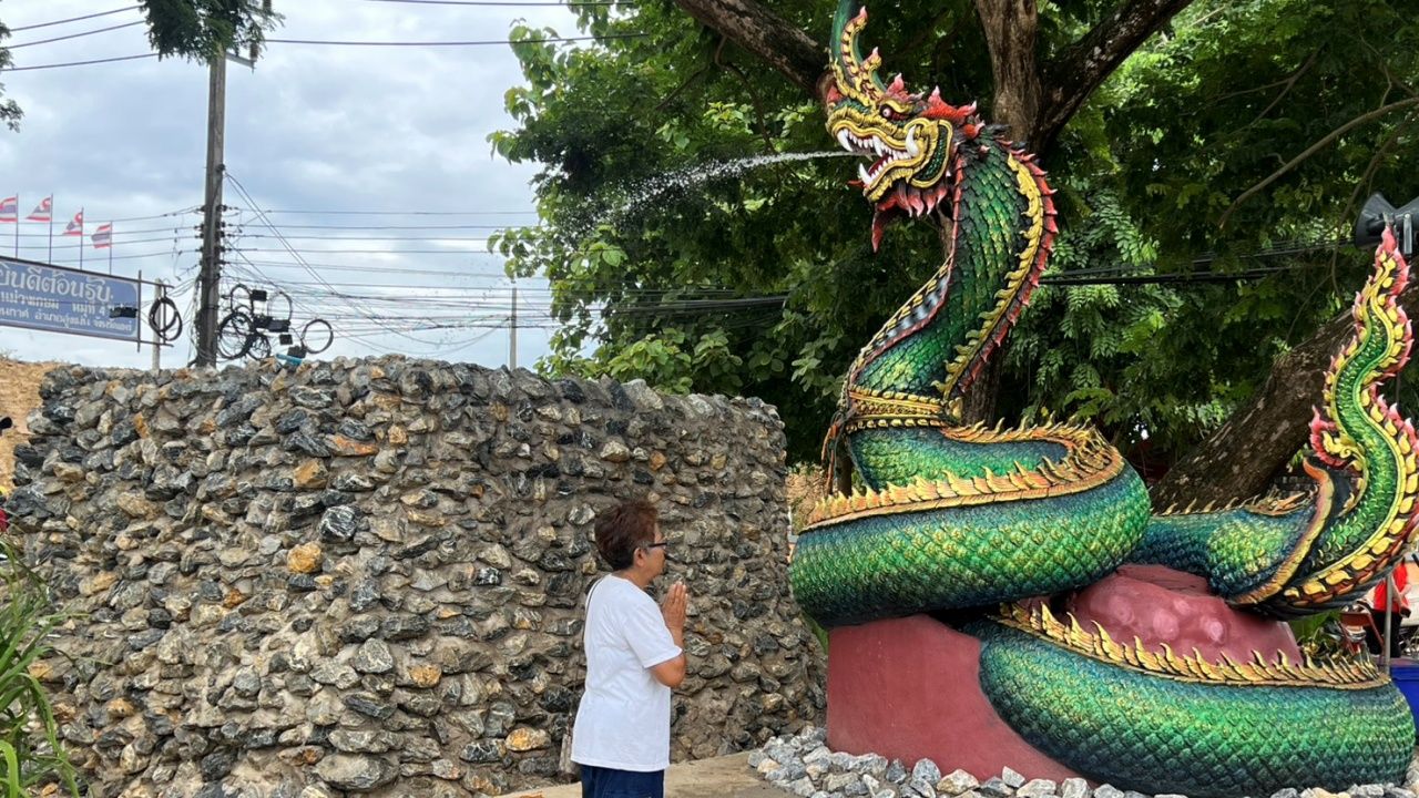 ชาวบ้านฮือฮา แห่ส่องเลขเด็ดหางประทัด พิธีอัญเชิญองค์พญานาค "พ่อปู่แสนตอง"เกี่ยวกับวัดดัง