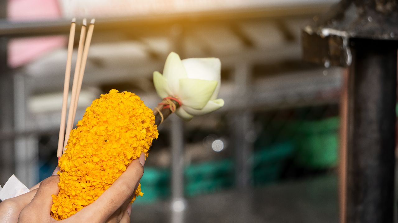 มูให้ปัง รวมเคล็ดลับเสริมดวง 12 ราศี เดือนพฤษภาคม 2569 ฉบับเฮงรอบด้านเกี่ยวกับวัฒนธรรม