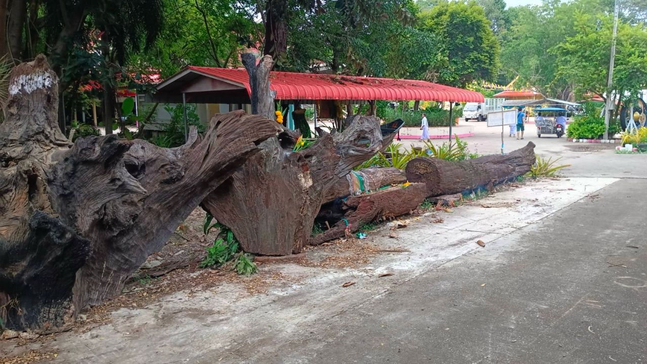 สาวออกอาการ คล้าย “แม่ตะเคียน” สิงร่าง จุดธูปไหว้ได้เลขเด็ด เสี่ยงโชคหวยสัญจร 1/9/69